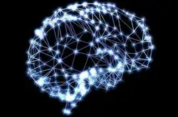 人工神经网络的本质是什么？