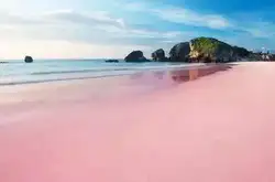 3英里的粉红色沙滩 布满了动物尸骸 却成了游客至爱之地