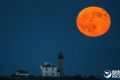 你见过橙红色的月亮吗？美摄影师拍到橙红色满月