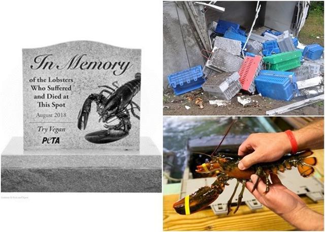 美国缅因州4500只龙虾惨死公路善待动物组织（PETA）吁立碑纪念遭泼冷水