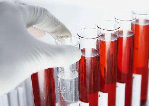 一个成年人的体内流着多少血液？科学家带你深入了解血液的作用
