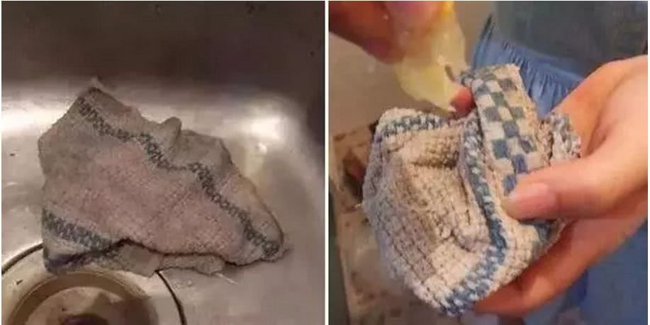 煮不烂不怕烫的长毛手套 被它撸过的碗比舔的还干净 不发霉不发臭 一个可以用3年