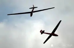 人工智能滑翔机：学习像鸟一样滑行 无限期停留在空中