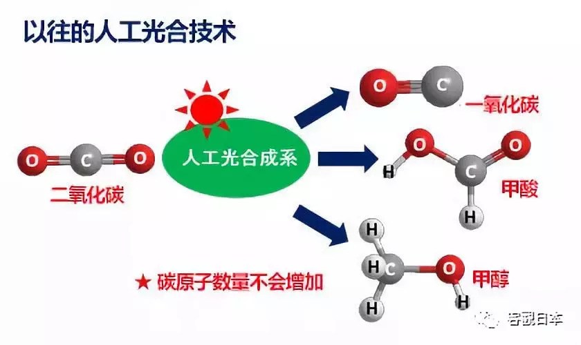 日本开发出新型人工光合技术 可使二氧化碳与有机分子结合固定