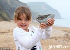 英国女孩海边玩耍 意外捡到1.9亿年前化石