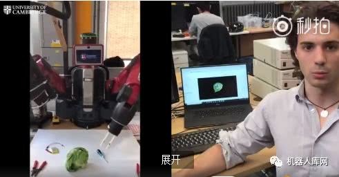剑桥研究人员开发出一款可以剥菜叶的机器人