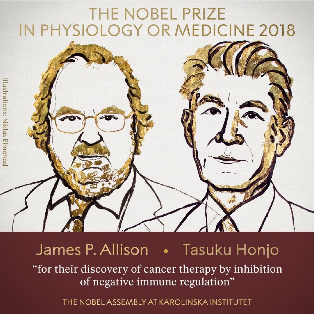 2018年诺贝尔生理或医学奖揭晓 来自美国和日本的科学家获奖