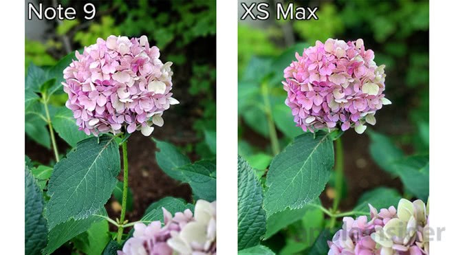 Note9和XSMax相机哪家强？照片实测显示这个结果