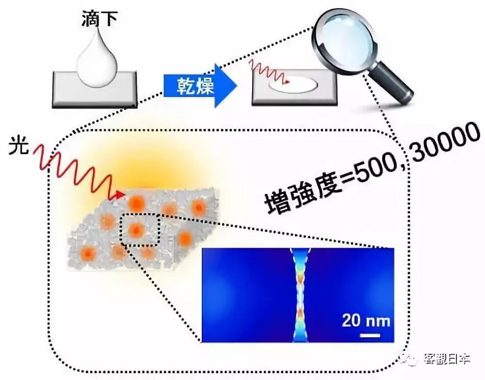 广岛大学全球首次发现可将光强度增至500倍的氧化钛材料