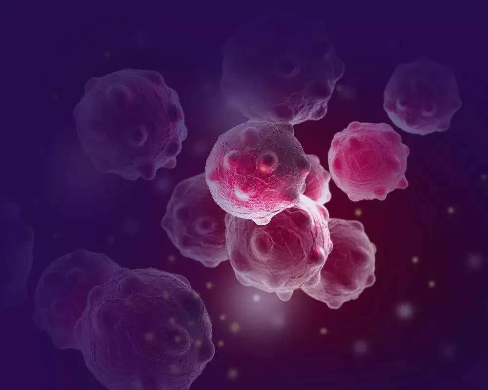 福音 这种新型分子可以阻止或摧毁乳腺癌肿瘤