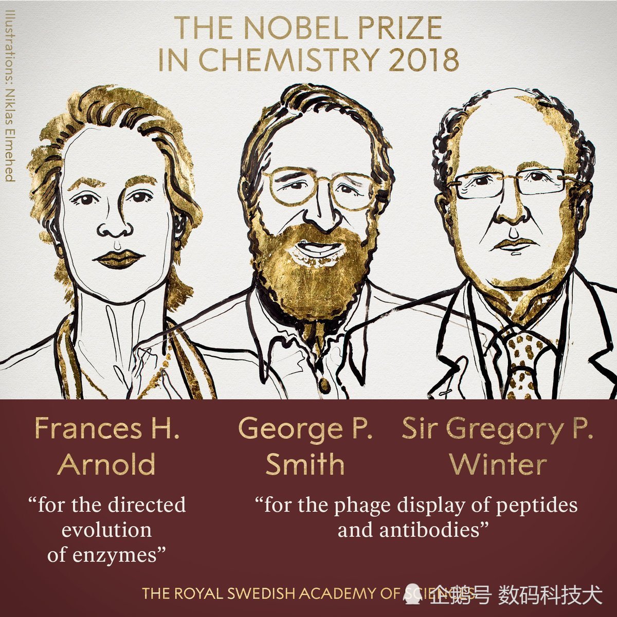 图说诺贝尔化学奖得主：女科学家曾获美国工程学最高奖项