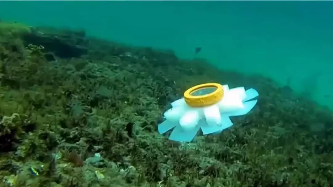 3D打印水母机器人将有效完成海洋中濒临灭绝的珊瑚礁监测任务