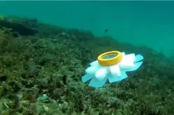 3D打印水母机器人将有效完成海洋中濒临灭绝的珊瑚礁监测任务