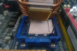 网友拆散热器把CPU给拔下来了 这是用502胶水当硅脂？