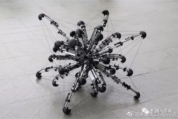 不能有更多腿了：科学家展示了像变形虫一样的32足机器人