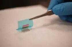 MIT研发新方法 用特殊材料制作柔性电子