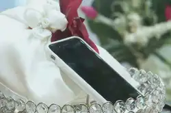 世界奇闻：这个美国男子娶自已的手机为妻