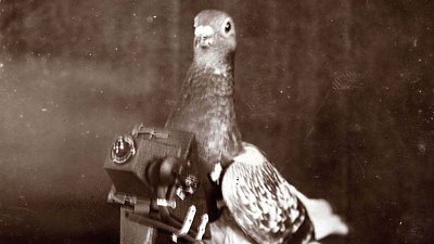 100 年前的航拍技术：鸽子绑着摄影机飞到高空拍摄