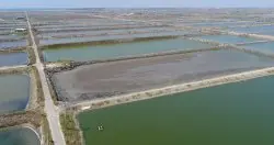 台南鱼塭将靠4万块太阳能板种电! Google彰滨资料中心用电有新来源