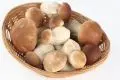 家电常识:蘑菇可以放冰箱吗？