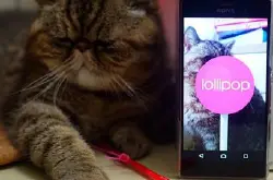 Sony Xperia Z3 Android 5.0 试玩！30 秒短片了解有几爽快