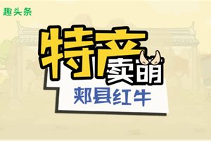 动画扶贫：中国的雪花牛肉 郏县的脱贫神器