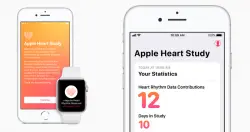 苹果心脏研究结果出炉，Apple Watch的确能发现心房颤动