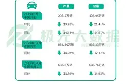 极光大数据：2019年上海车展访客研究报告
