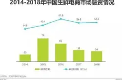 2019年中国生鲜电商行业研究报告