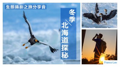 【冬季北海道探秘】免费参加生态摄影之旅分享会！