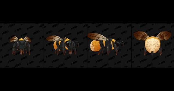 《魔兽世界》的蜜蜂坐骑有线索了？
