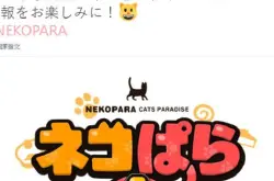 《NEKOPARA》第四部宣布正在开发中_乐园
