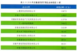 安徽省纳税Top10榜单公布 科大讯飞纳税总额排…