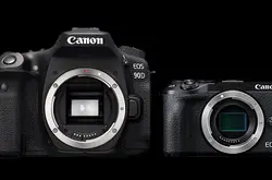 【回应诉求】Canon 将为 90D、RP 及 M6 Mark II 增 4K 24p 选择
