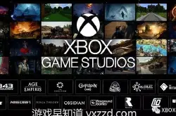 2020年将有12款微软第一方游戏发售 新《神鬼寓言》内部开发代号公布_Phil