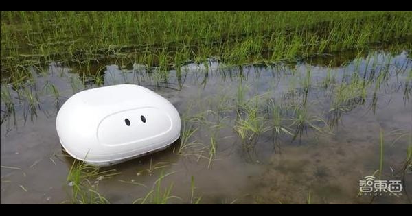 日本工程师研发出鸭子机器人 可帮稻田除杂草和虫害_农业