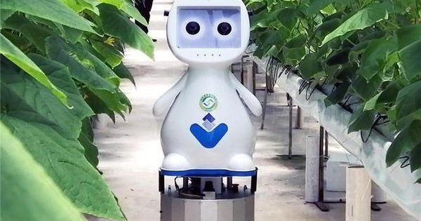 温室新鲜事之福建释出首款人工智能5G农业机器人