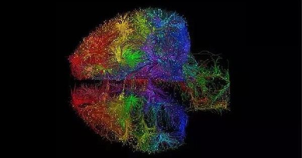 艾伦研究所2019年6月重磅脑科学资讯：大脑同步活动的新模型诞生
