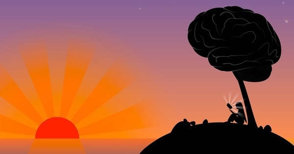 六六脑：让认知训练变得有趣 这款基于互联网、AI 的健脑游戏有什么特别的？