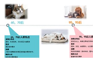 猫咪比狗更受宠？京东超市推出宠物行业报告解…