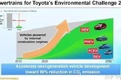 如何看待国内氢燃料电池汽车市场？