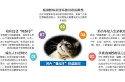 猫星人躺赢 京东超市《2019中国宠物消费趋势报…
