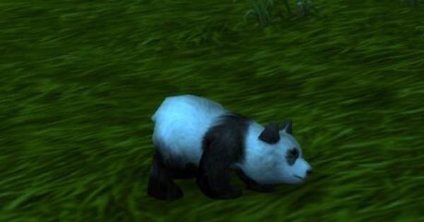 魔兽世界：人人都爱小滚滚 领取小竹笋变成熊猫幼崽