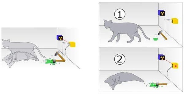 薛定谔的猫发威：量子计算机和量子软件成高科技新增长点