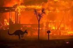 澳洲山火肆虐，最具代表性照片暗藏 7 个心思