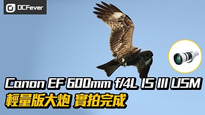 【轻量版大炮】Canon EF 600mm f/4L IS III USM 实拍完成