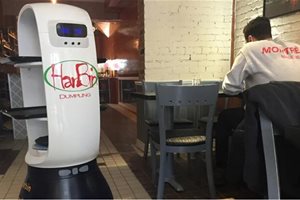 擎朗送餐机器人再掀热潮！GLOBAL NEWS多家媒体…