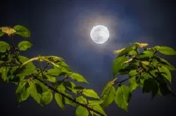 云散月明，超级月亮这样拍