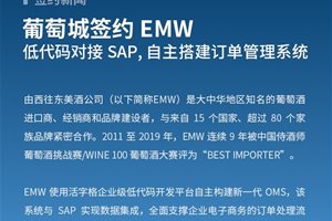 活字格赋能EMW，低代码对接SAP搭建酒类进口商…