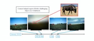 Google新算法利用时间上下文资讯，改善从相机陷阱照片辨识动物的能力